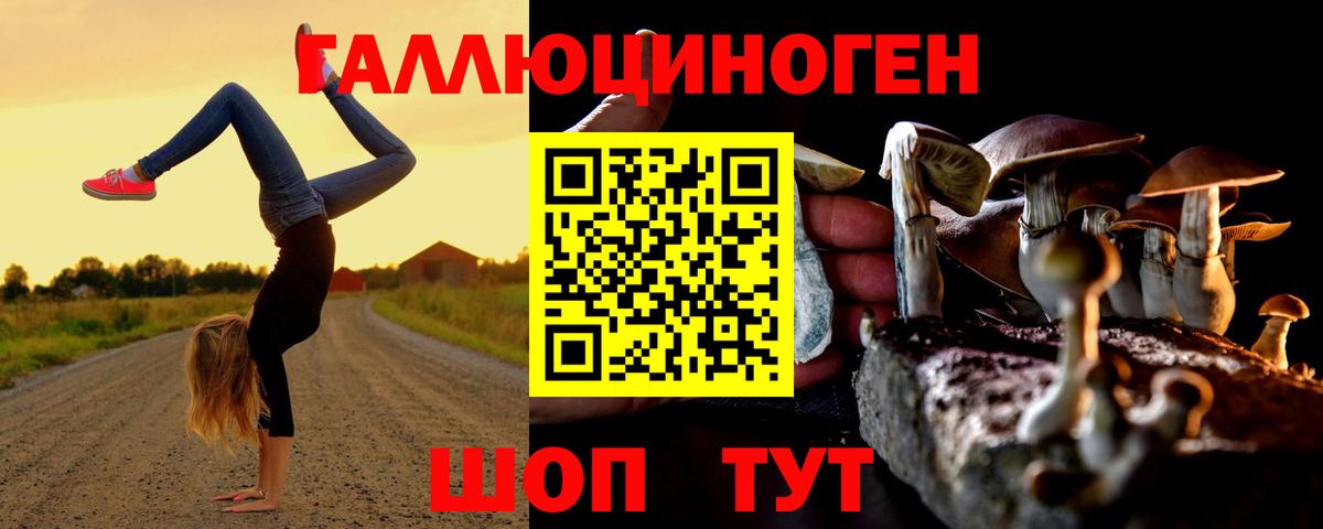 Галлюциногенные грибы Magic Shrooms Борзя